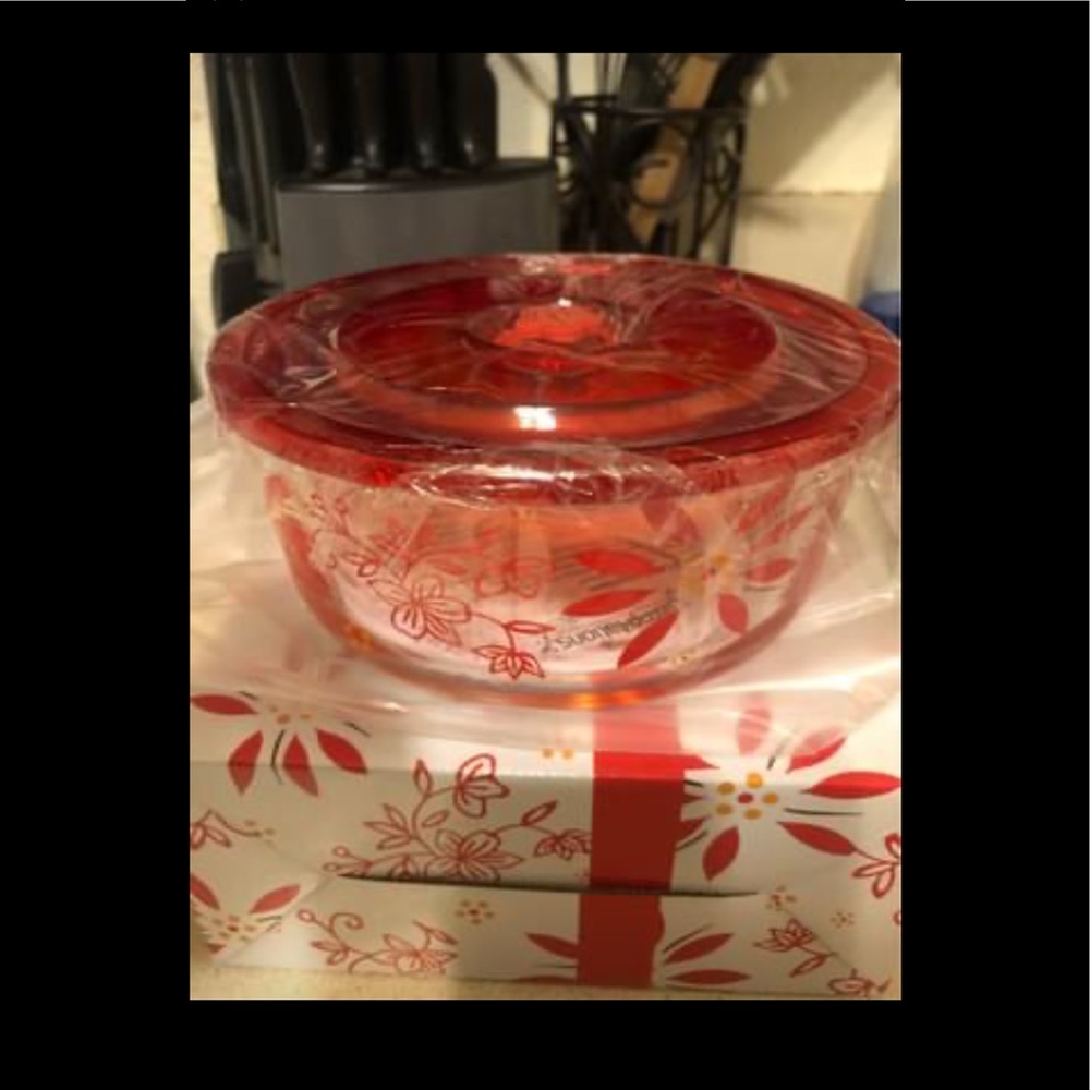 Brand New Glass Storage Bowl with Suction Cup Top